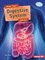 How Your Digestive System Works