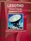 Lesotho Telecom Industry Investment Guide - Strategic Information, Regulations, Opportunities