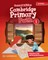 Cambridge Primary Path Level 1 Grammar and Writing Workbook