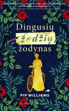 Dingusių žodžių žodynas