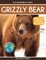 Grizzly Bear