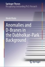 Anomalies and D-Branes in the Dabholkar-Park Background