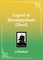 Legend of Metempsychosis (Novel) Vol. 1