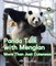 Panda Talk with Menglan: More Than Just Cuteness