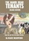 Nandi Bear Tenants Deluxe Edition