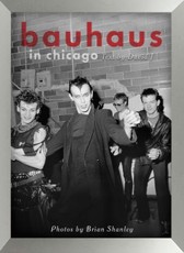 Bauhaus In Chicago