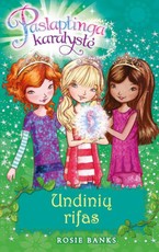 Undinių rifas. Ciklo Paslaptinga Karalystė 4-oji knyga