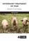 Veterinary Treatment of Pigs