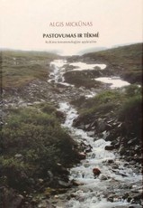 Pastovumas ir tėkmė. Kultūros fenomenologijos apybraižos