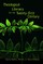 Theological Literacy in the Twenty-First Century