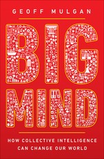 Big Mind