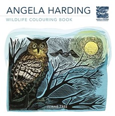 Woodlands (Angela Harding) Colouring Book