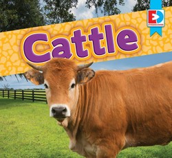 Cattle