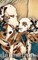 Dalmatian Writing Drawing Journal