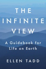 The Infinite View