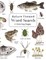 Nature Themed Word Search