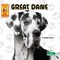 Great Dane