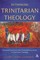 Rethinking Trinitarian Theology