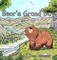 Murphy, J: Bear's Grand Day