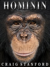 Hominin