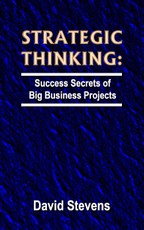 Strategic Thinking: success secrets of big business projects