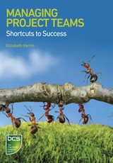 Managing Project Teams