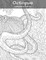 Octopus Coloring Book for Grown-Ups 1