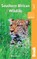 Southern African Wildlife