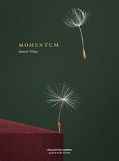 Momentum