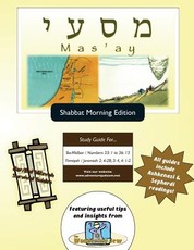 Bar/Bat Mitzvah Survival Guides