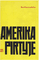 Amerika pirtyje