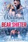 Christmas with a Bear Shifter