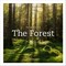 The Life & Love of the Forest