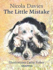 Little Mistake