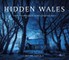 Hidden Wales