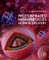 Protein-Based Nanoparticles in Drug Delivery