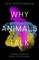 Kershenbaum, A: Why Animals Talk