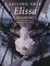 Sailing Ship Elissa