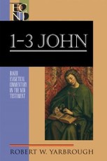 1-3 John (Baker Exegetical Commentary on the New Testament)