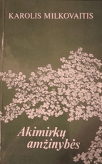 Akimirkų amžinybės