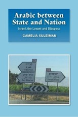 Arabic Between State and Nation