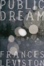 Public Dream