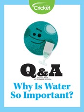 Why is Water So Important?