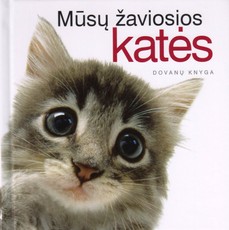 Mūsų žaviosios katės