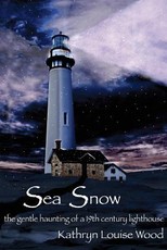 Sea Snow