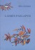 Laimės paslaptis (1995)