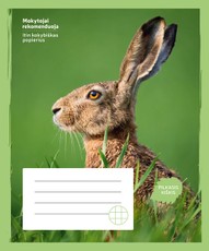 Sąsiuvinis KIŠKIS 24 lapų, langeliais