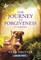 The Journey to Forgiveness
