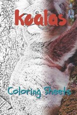 Koala Coloring Sheets