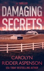 Damaging Secrets
